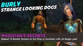 Burly - Magician's Secrets