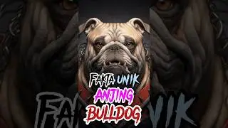 Fakta Menarik Anjing Bulldog