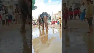 #Country:India🇮🇳#State :karnataka #Dist:Gadag,Tq:Nargund #village:Chikkanaragund    Dasara Elephant🐘