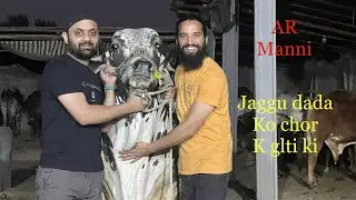 Vlog @ARMaani7 @karim’s cattle farm