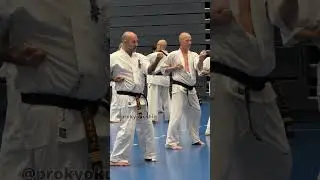 Kyokushin karate Training with Shihan Katsuhito Gorai. Turku, Finland 28.09.2025