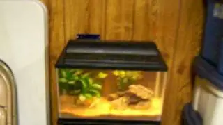 4 AQUARIUMS ON CRAIGSLIST