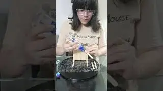 Proyecto de Arte y Cultura 3er bimestre - Sof&iacute;a Adrianzen 
