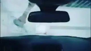 State Farm parody feat magic dog