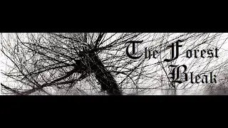 Moragoth Thanuu -  The Forest Bleak [ Black Metal /  - full demo album ] #blackmetal #blacknroll