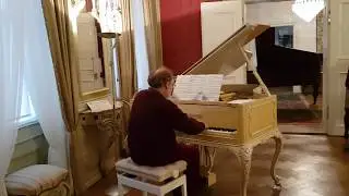 J.P.ESNAOLA (1808-1878) Minu&eacute; Federal o Montonero on Steingraeber Piano