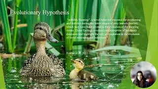 FLAPPING BEHAVIOR