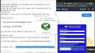 Bitcoin fake transaction (replace-by-fee) software 2022 DOWNLOAD!