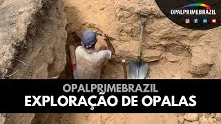 OPALPRIMEBRAZIL |  EXPLORAÇÃO DE OPALAS - MINEIROS DE PEDRO II .