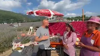 Düziçi'nde Lavanta Bahçesine Ziyaretçi Akını