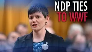Ex-NDP MP now heads World Wildlife Fund Canada