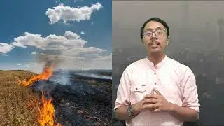 The Pollution Predicament: Unmasking Delhi-NCR's Environmental Crisis | The Current Beat