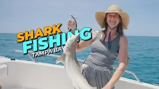 DOUBLED Up on SHARKS in Tampa Bay!