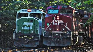 Blazing Hot Tempatures & Fast Rail Action: BNSF's Seattle Sub at Thomsen Road [7/14/2020]