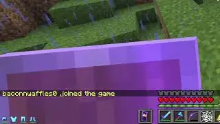 Baconnwaffles0 joins the Lifesteal SMP