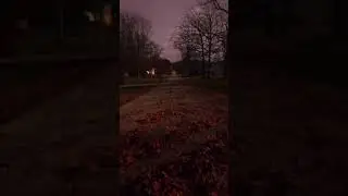 Leaf-Covered Road at Dusk | Moody Autumn Scene