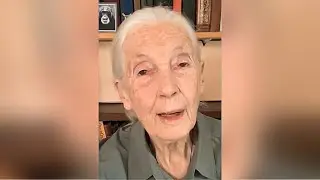 Доктор Джейн Гудолл перед смертью в возрасте 91 года отправляет сообщение &laquo;День Земли 2025&raquo;