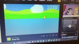 Playing Duck Life Swimming Training Lv1-25 ish idk