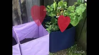 Diy Container Planting Raised Bed Alternative Garden planter Box Ideas