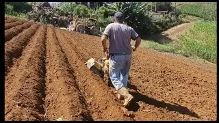 O melhor INVESTIMENTO! tratorito trabalhando