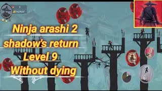 Level 9, Act 1, Ninja arashi 2 shadow's return.