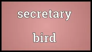 Secretary bird Meaning