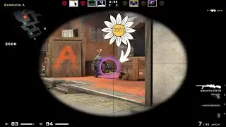 WHAT SILVER ELITE MASTER LOOKS LIKE!! XD