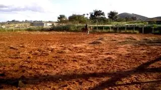 &Eacute;gua do Geraldo2