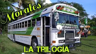 Transporte MORALES, el tercer BLUE BIRD de la trilog&iacute;a de la 133 😎