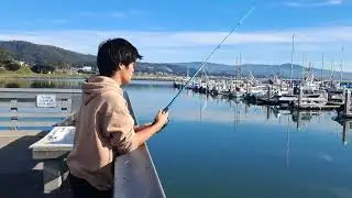 Non-Stop Catch & Release at the Half Moon Bay/Pillar Point Harbor on Thanksgiving Day 2025