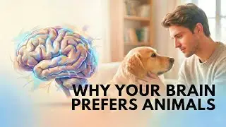 The Cognitive Reason You Trust Animals More Than People