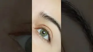 The Best Green color lenses! Otaku olive Green Vs DESIO Charming Green
