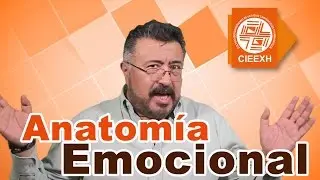 Anatom&iacute;a Emocional