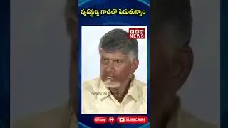 వ్యవస్థల్ని గాడిలో పెడుతున్నాం || Chandrababu Sensational Comments on AP Development | NSN NEWS