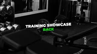 Training Showcase | Back | The Paragon Gym | Lakewood Ranch FL