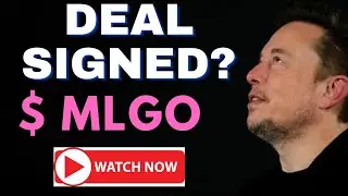 MLGO Stock - MicroAlgo Inc Stock Breaking News Today | MLGO Stock Price