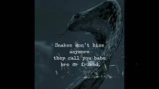 Toxic Relationships (part one) red pill blueprint 😎