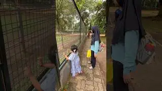 Barbara Melihat Burung Onta