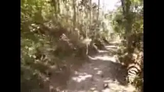 Spa Fazenda Igarata Video  5     Conhecendo o Spa