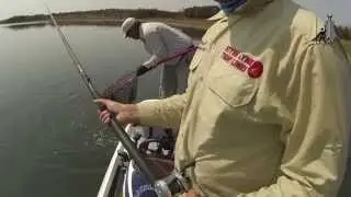 GO FISHING: Artlure Angling - Winter Catfish at Roodeplaat Dam