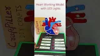 human heart working model with led lights -  science project - shorts - craftpiller