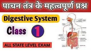 Digestive System | Biology GK | Bihar Police | Railway | SSC | All State Exams 