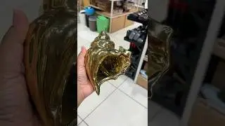 99 Store Shopping   #shorts #youtubeshorts #shopping #flipkart #trending #viral #trending #ytshorts