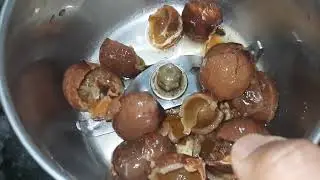 Soap nut shampoo for hairwash, bodywash, face wash