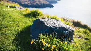 Loving Kindness for Difficult Feelings with Anne Sheehan