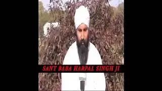 Satsang Part 0294