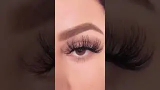 Innisfree Lashes