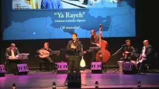 Anass Habib: happy Algerian song 