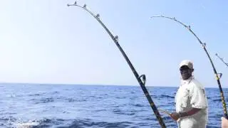Reef Tours Deep Sea Fishing