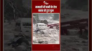 Manali Bridge Collapse: मनाली में पानी के तेज बहाव से टूटा पुल, फंसी गाड़ियां | Heavy Rain In HP